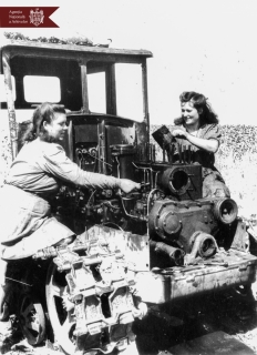 Parascovia Rudoi (în stânga) și Liubovi Șevciuc în timpul deservirii tehnice a tractorului DT-54, Stația de Mașini și Tractoare din satul Arionești, r. Dondușeni, 14.08.1953, indice: 15252, autor - Drobniev