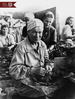S. Corgevscaia,  muncitoare la  Fabrica de tutun din or. Chișinău, anul 1947, Indice: 1723, Autor - N. Maiorov