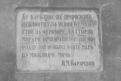 Placă 2