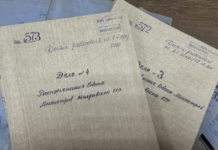 TRANSFER DOSARE GUVERN – ANA